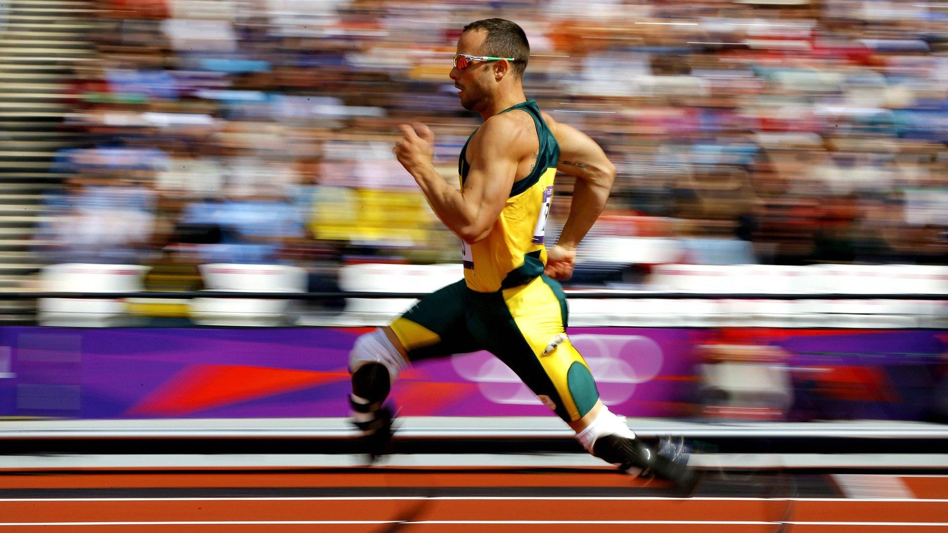 全球机器人竞赛巅峰对决，科技与体育的完美融合